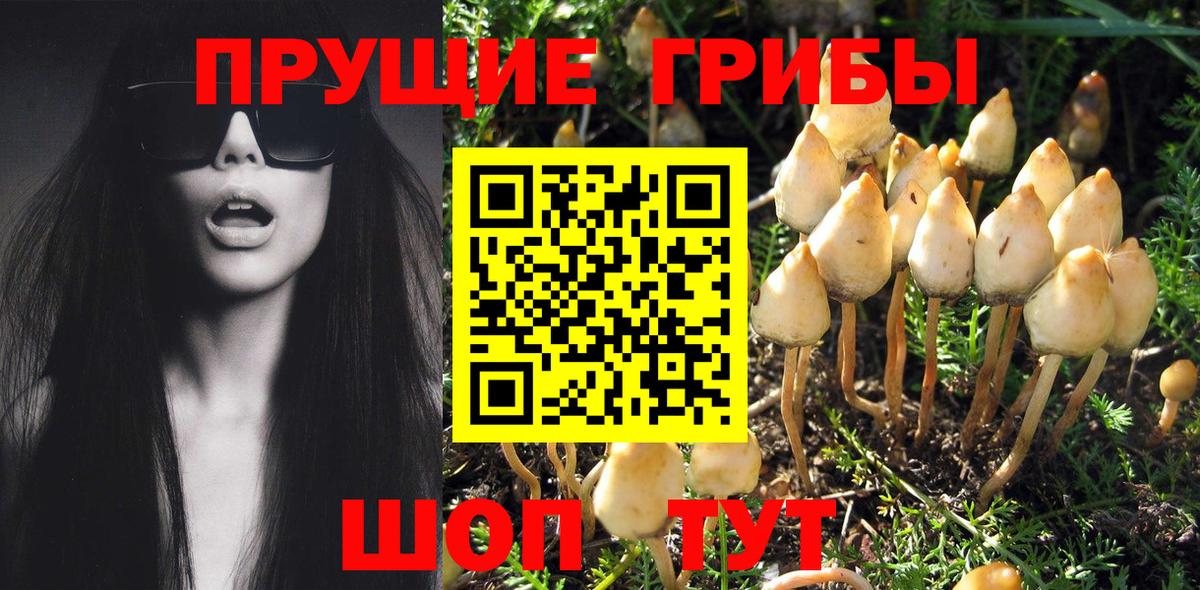 Псилоцибиновые грибы ЛСД Каспийск