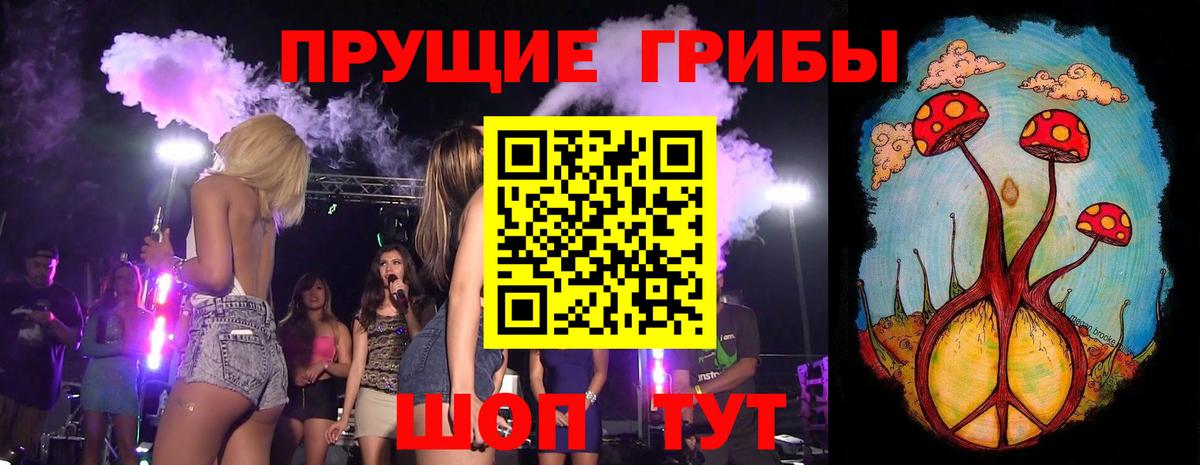 Каспийск  Псилоцибиновые грибы прущие грибы  Вход с VPN 